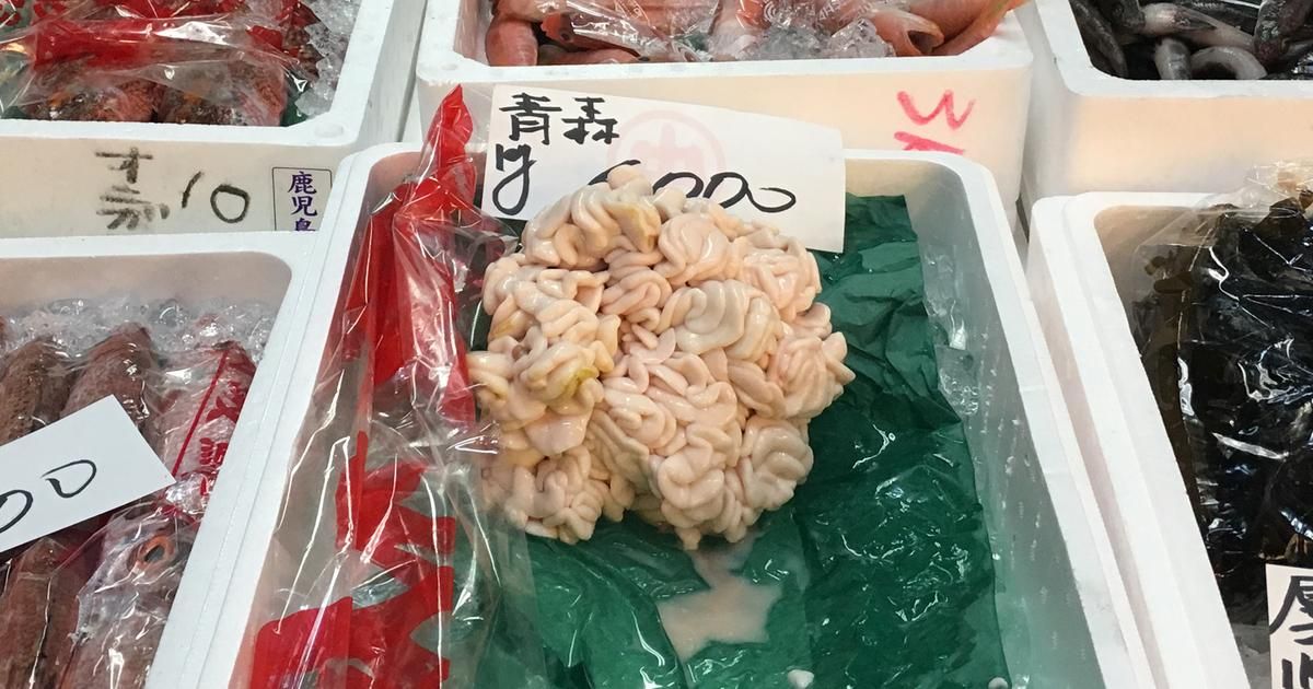 Le mystère du shirako : une spécialité japonaise fascinante