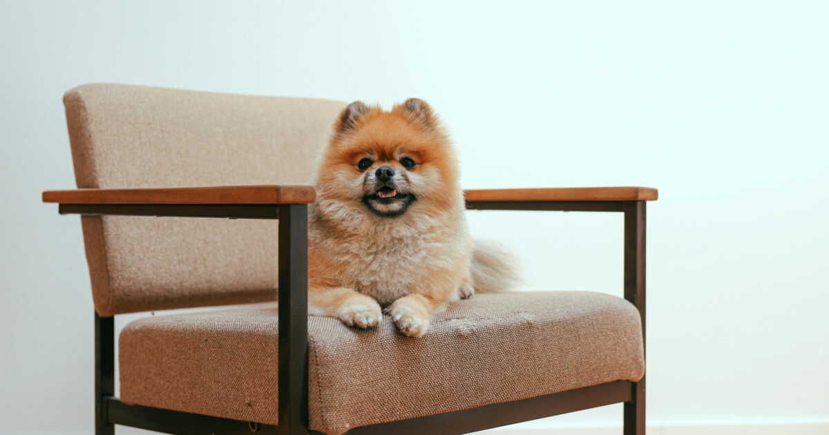 Découvrez l'astuce pour un intérieur impeccable sans effort