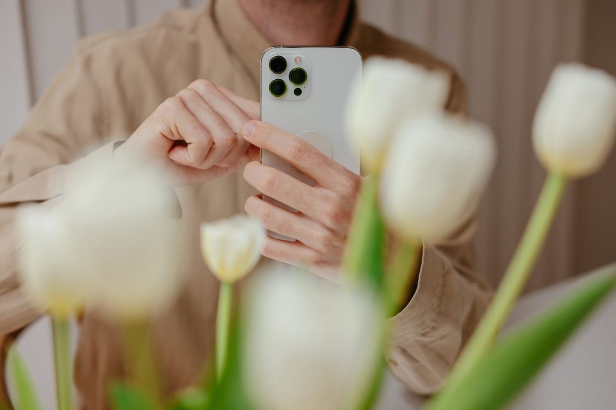 Identifiez les plantes avec votre iPhone grâce à Visual Look Up