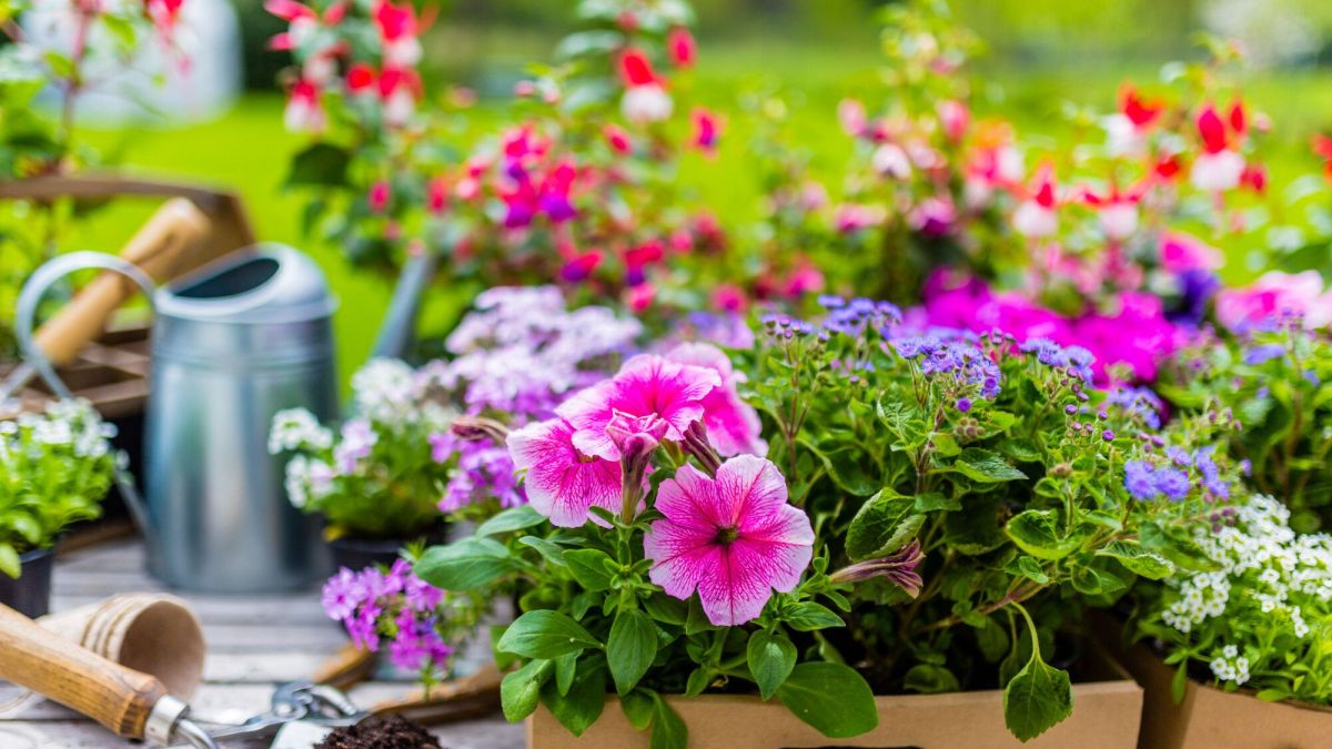 Le printemps au jardin : une période clé