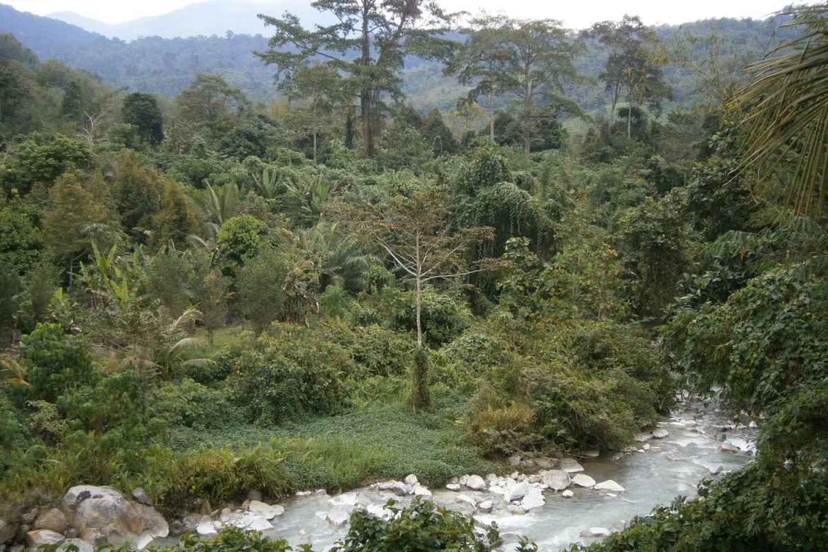 La révélation surprenante d'une plante souterraine méconnue