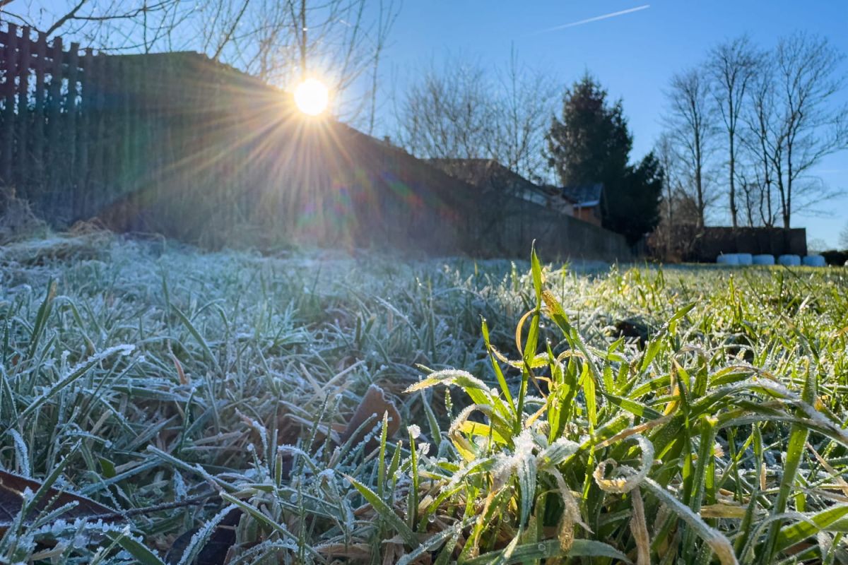 Quand prendra réellement fin l'hiver au jardin ?