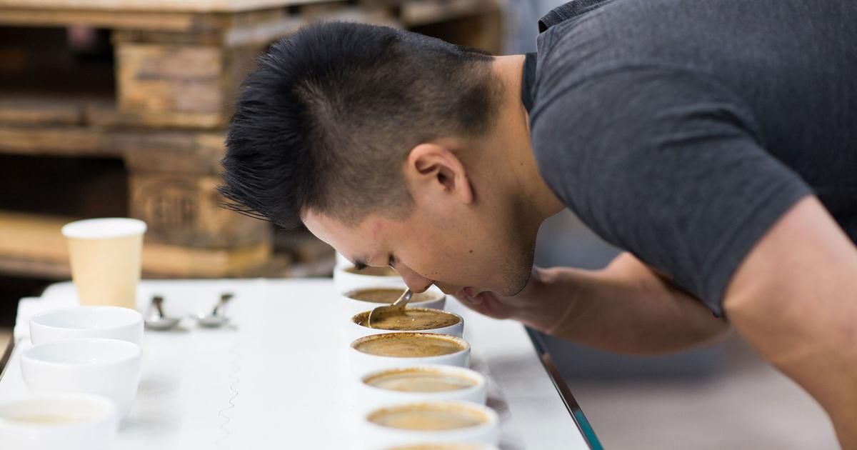 Plongez dans l'art du cupping : savourez votre café comme un expert