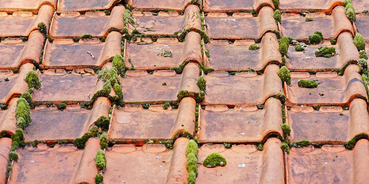 Entretenir sa toiture : une nécessité incontournable