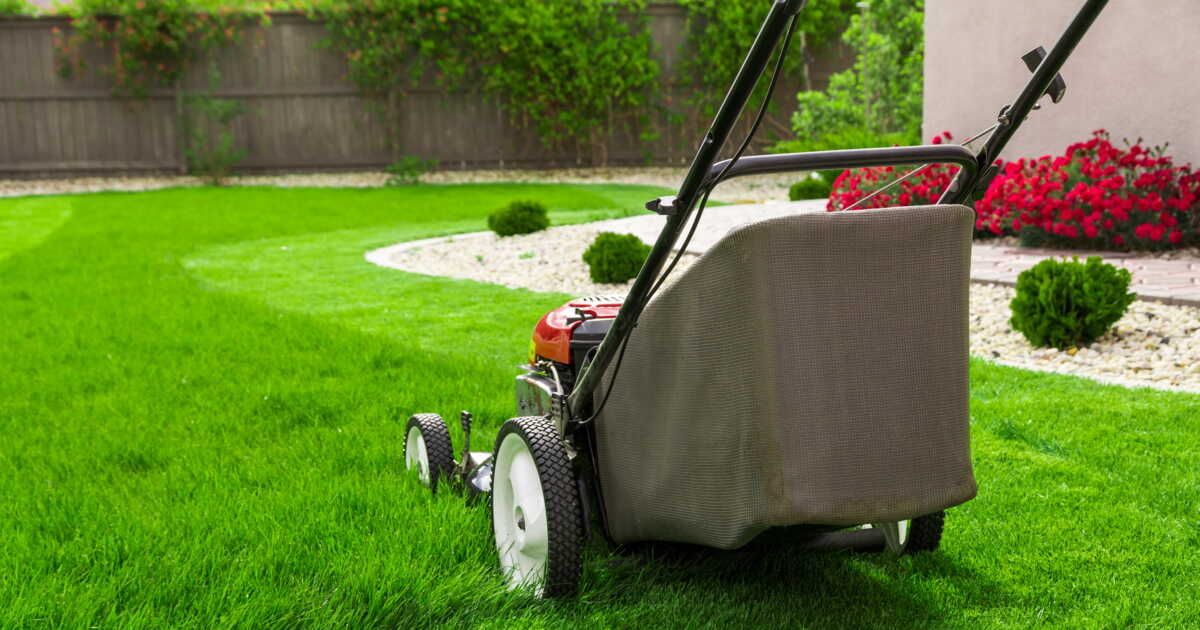 Tondre sa pelouse le dimanche : ce que vous devez savoir