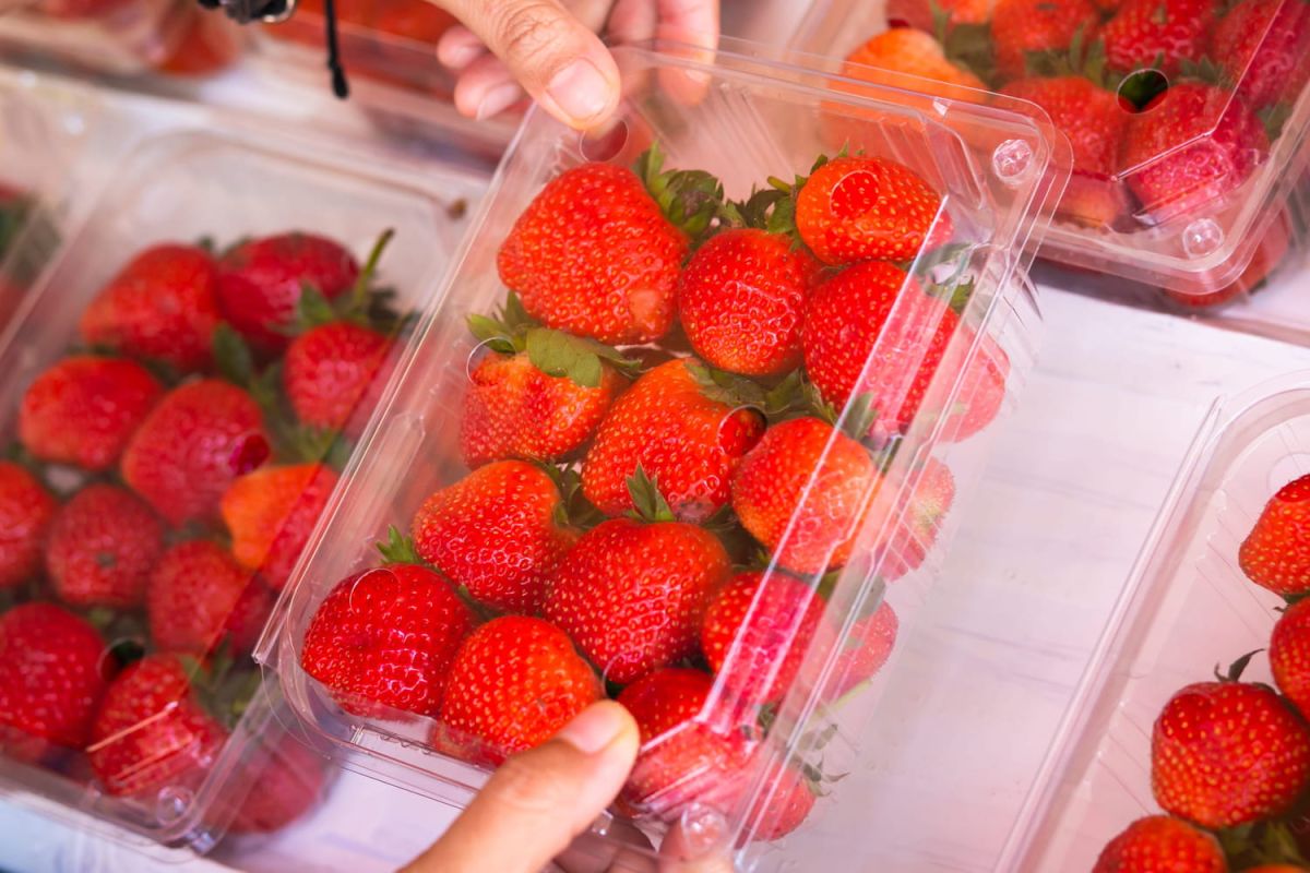 Choisir des fraises parfaites : les astuces à connaître