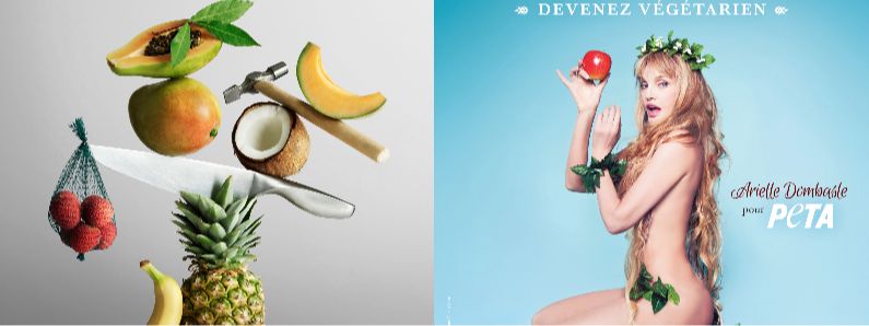 Arielle Dombasle : L'icône du végétarisme s'engage pour les droits des animaux