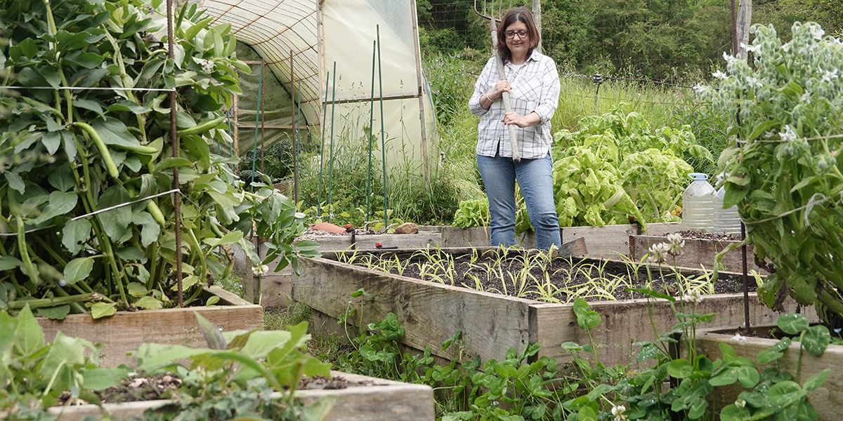 Cultiver son jardin écolo : des astuces pour un jardinage responsable