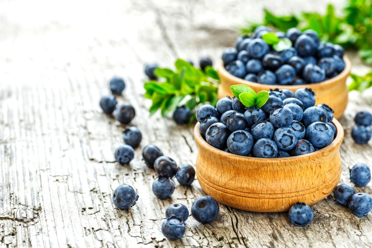 Les bienfaits insoupçonnés des myrtilles