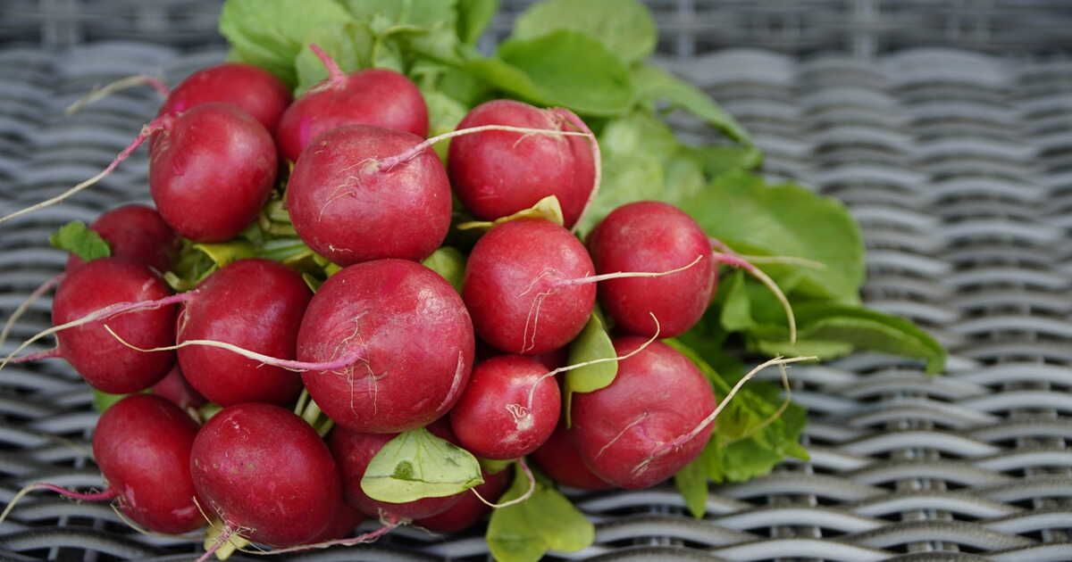 Cinq recettes savoureuses à base de radis