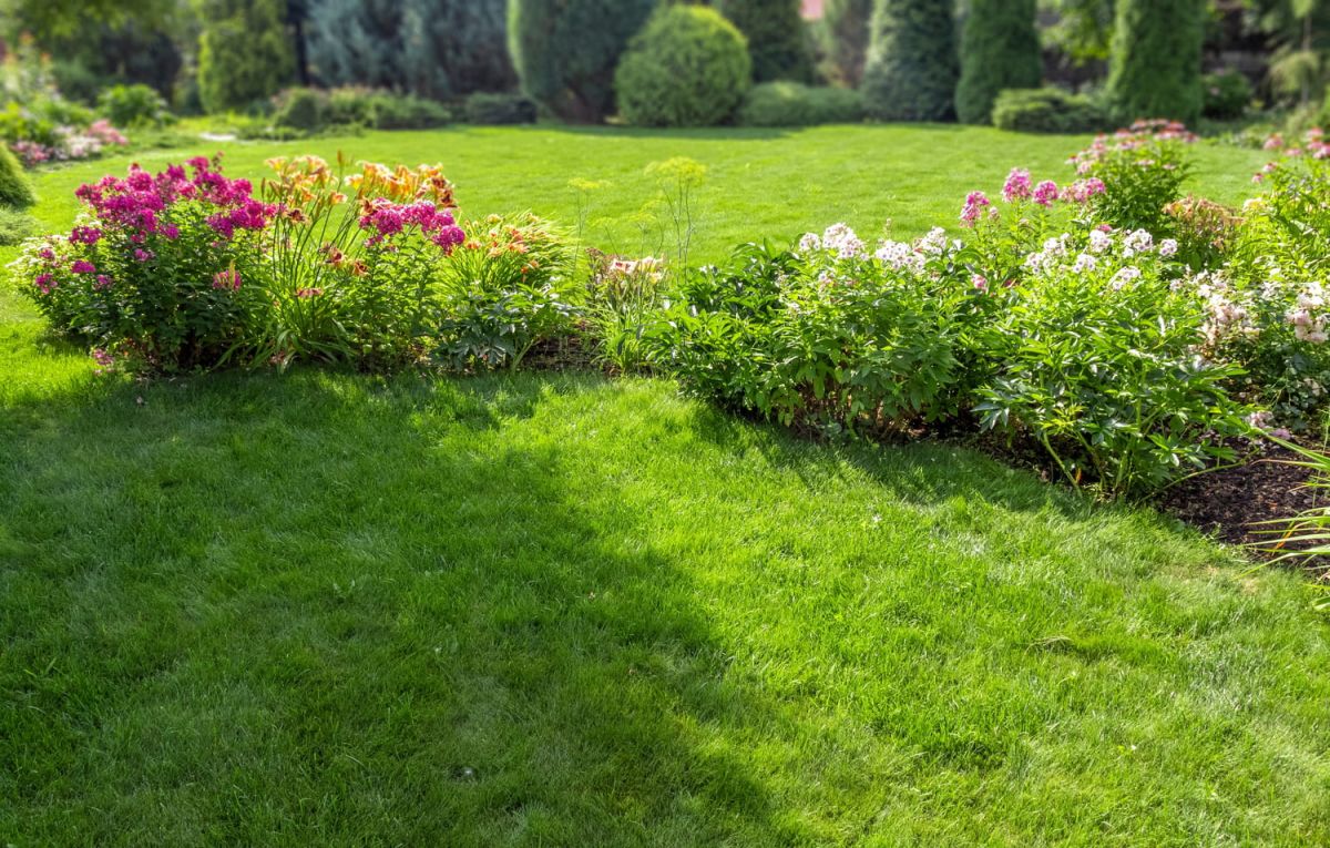 Comment avoir un beau gazon ?