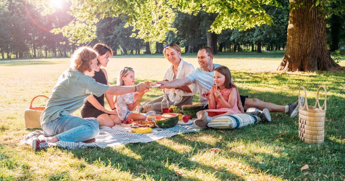 Guêpes et repas en terrasse : la méthode infaillible pour dîner sereinement