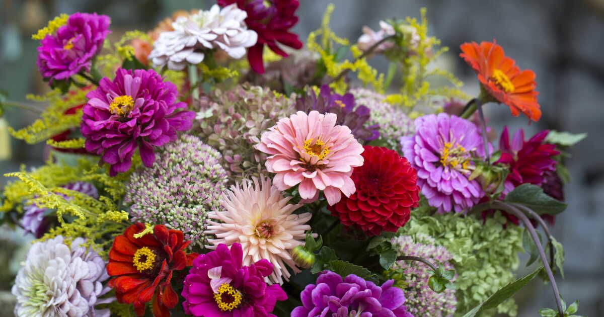 Choisir les fleurs idéales selon les saisons