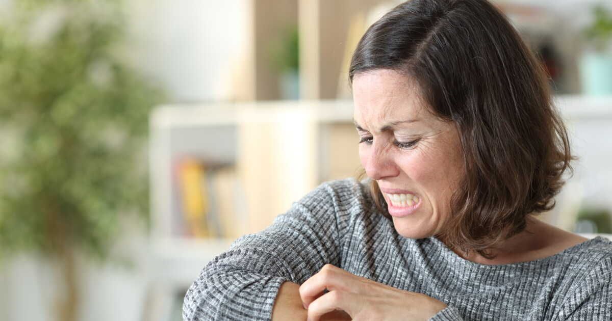 Terre de diatomée : votre allié naturel contre les envahisseurs à domicile