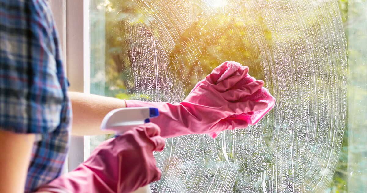 Astuces infaillibles pour nettoyer les fientes d'oiseaux sur vos fenêtres