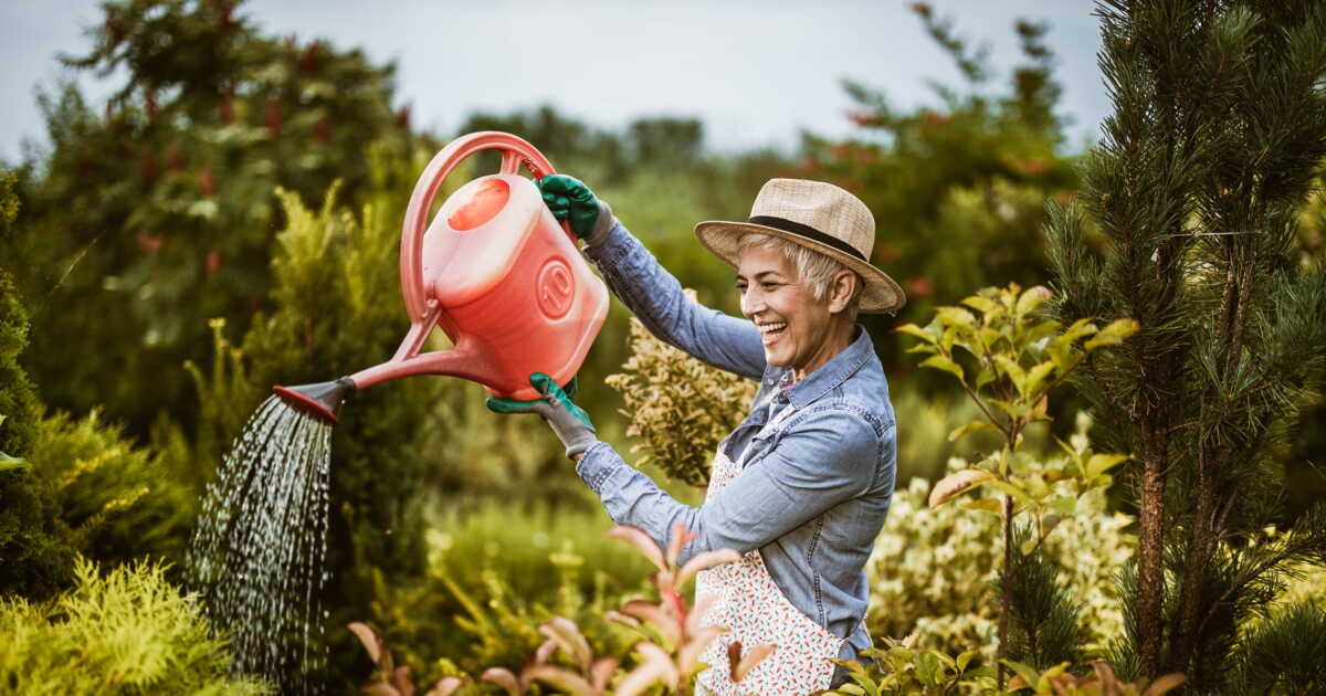 L'arrosage des plantes en hiver : un geste essentiel