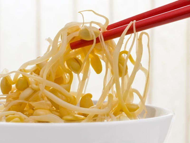 Qu'est-ce que les graines germées ?