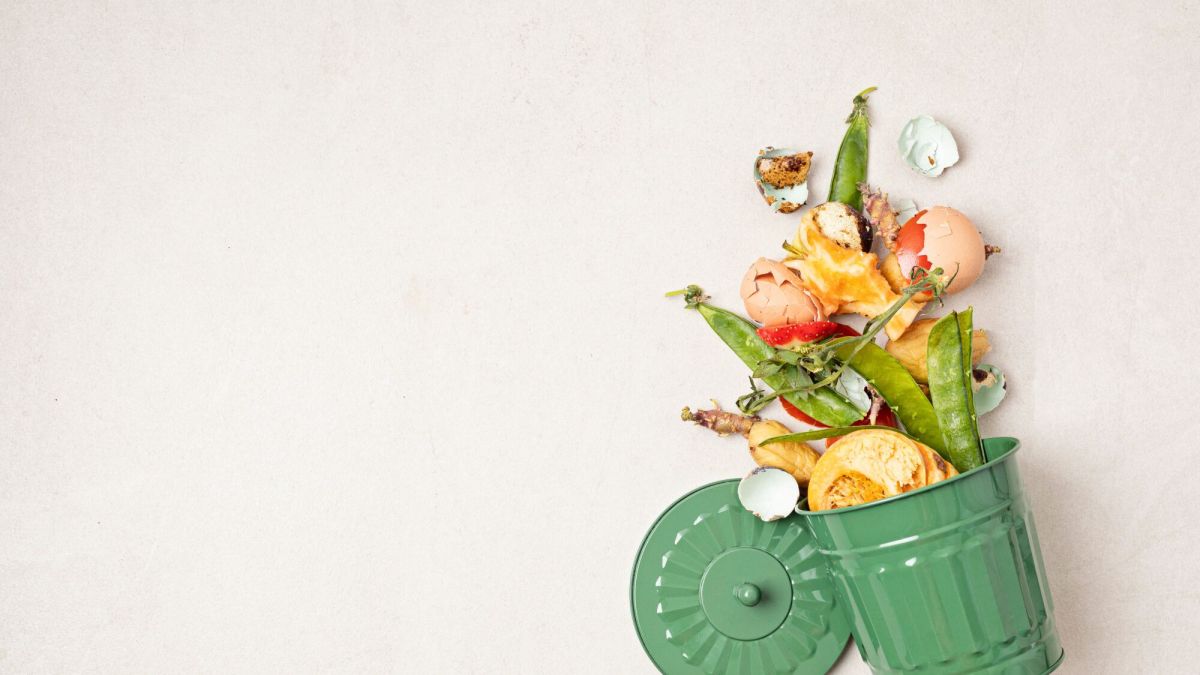 Compost : astuces pour un compost sain et sans odeur