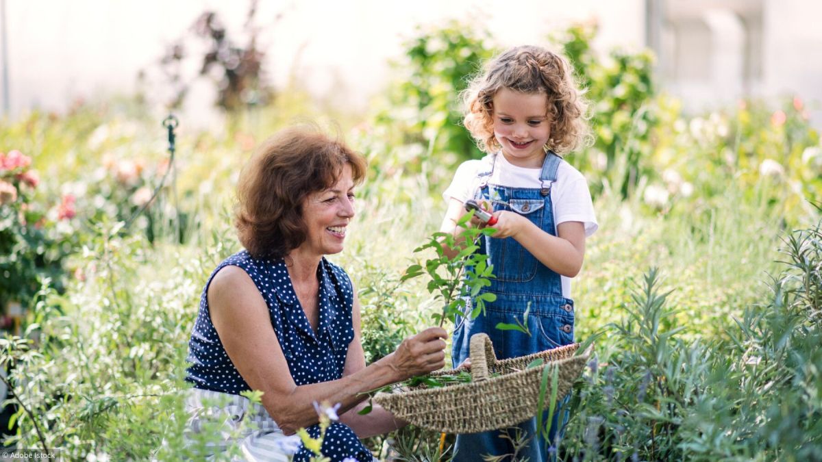 juillet au jardin : les gestes essentiels à adopter