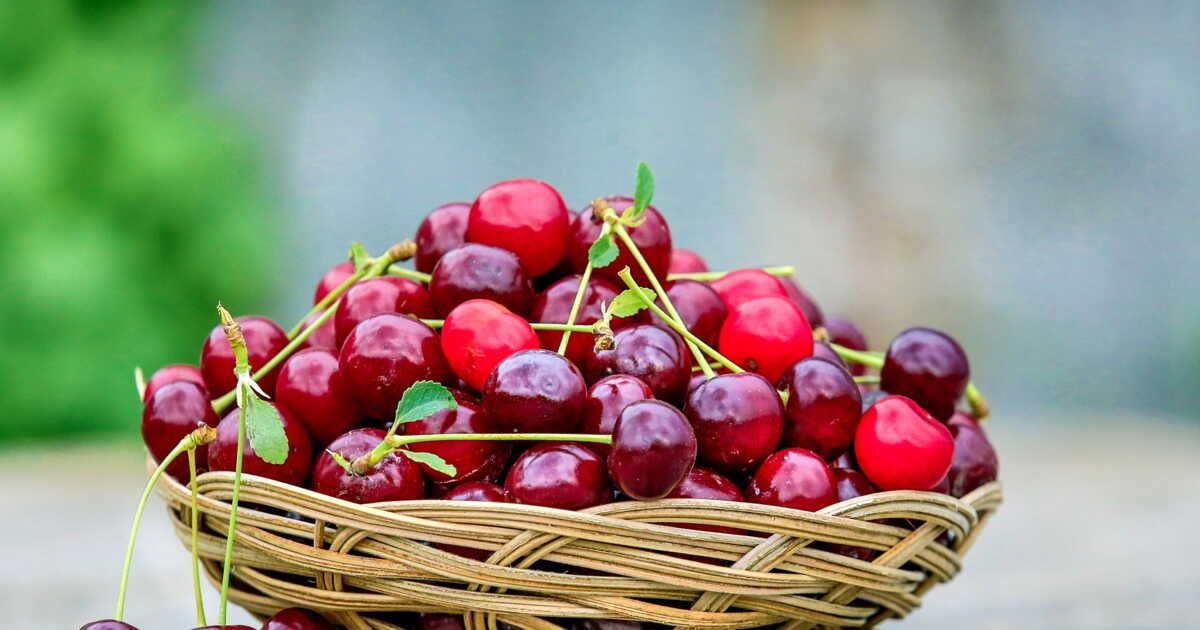Les secrets pour congeler des cerises comme un pro