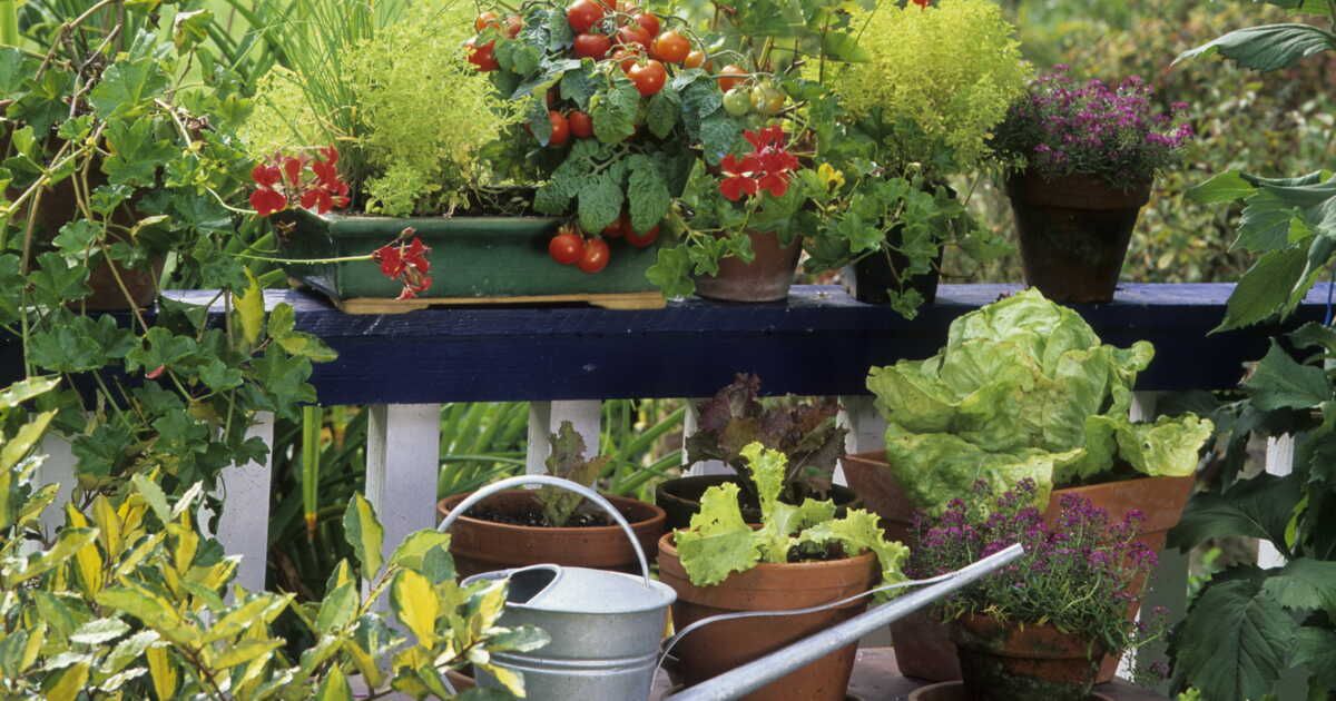 5 astuces pour préserver votre terrasse des pots de fleurs