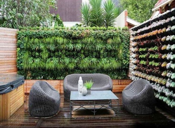 Apportez de la verdure à vos murs extérieurs avec ces astuces