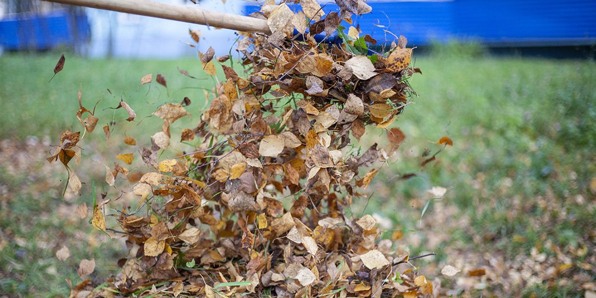 l'art de composter : broyer les feuilles mortes, une étape essentielle ?