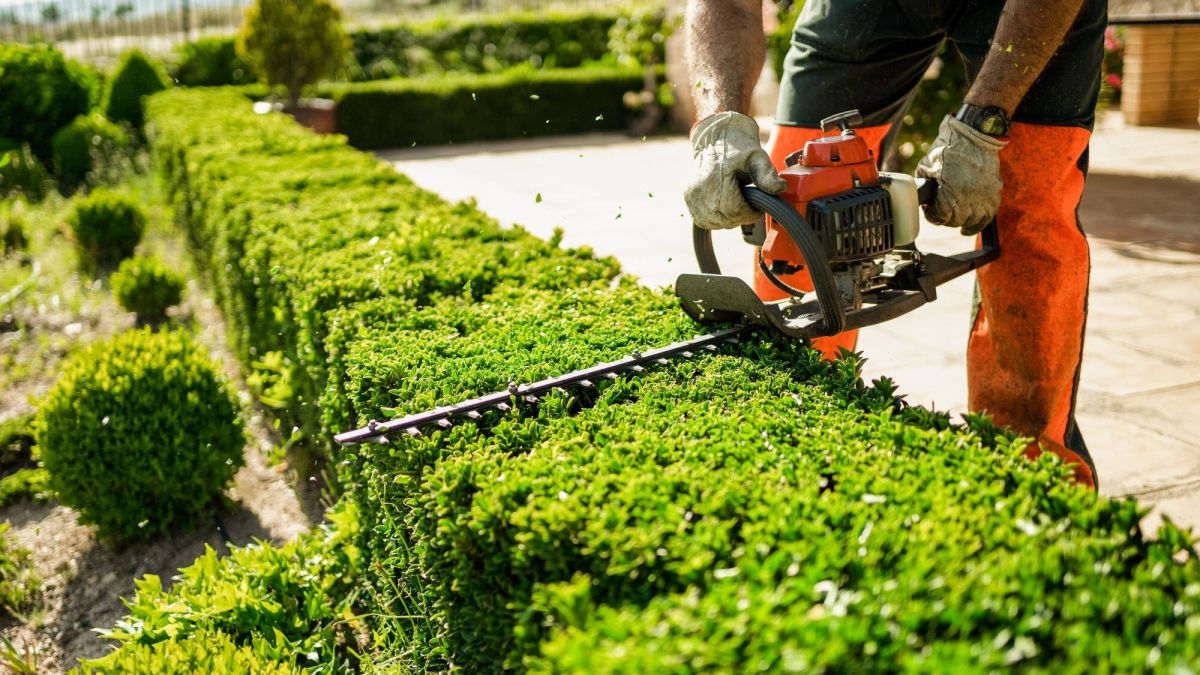 Comment bénéficier d'un crédit d'impôt pour vos travaux de jardinage