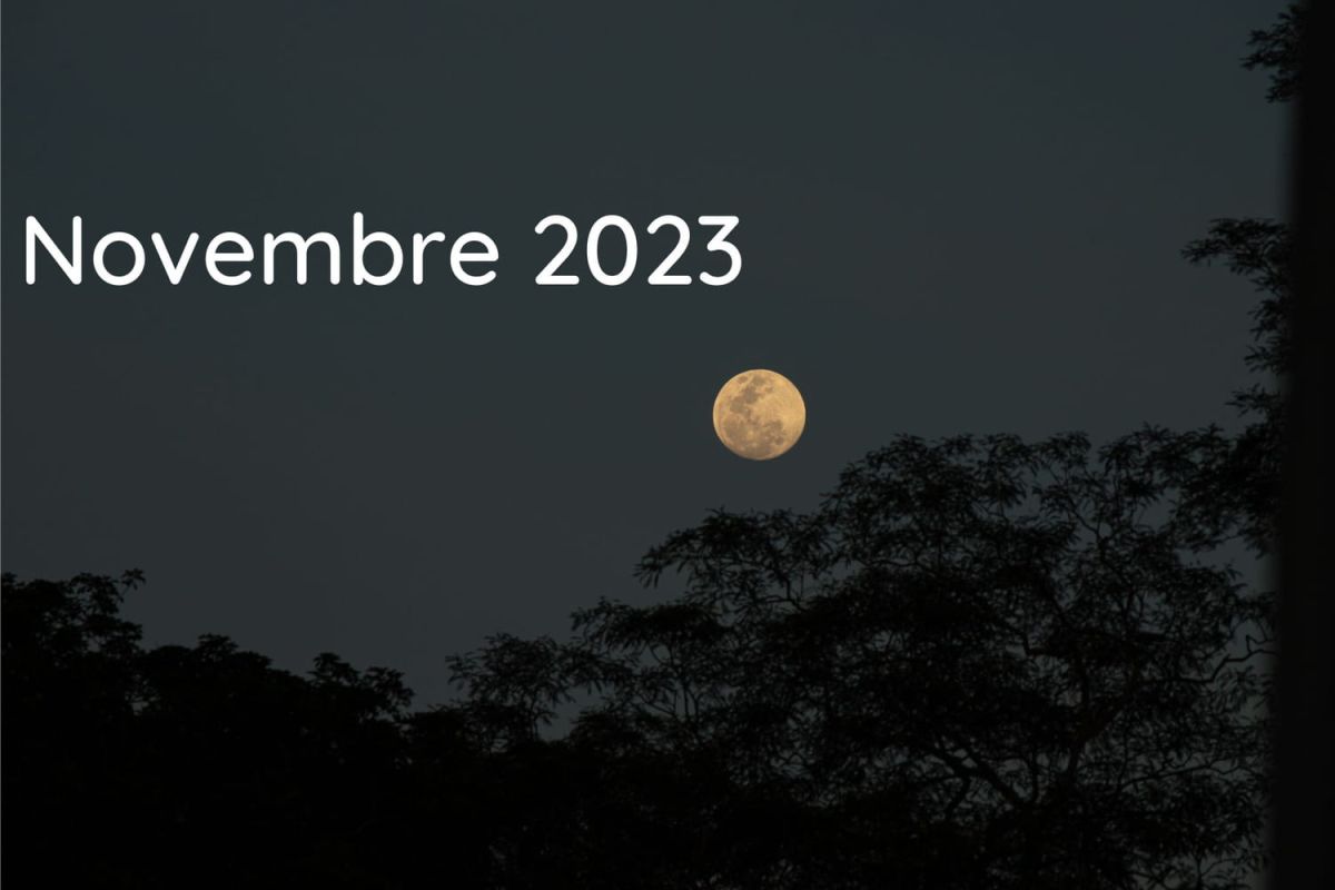 novembre au jardin : les conseils d'un jardinier en phase avec la lune