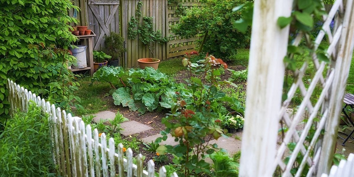 Transformez votre potager en un jardin ornemental captivant