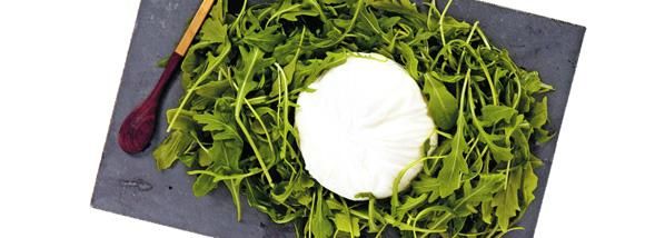 La burrata : le trésor crémeux qui enchante nos assiettes