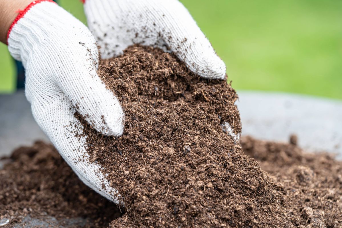 Préparez votre potager pour l'automne : les indispensables pour une récolte abondante