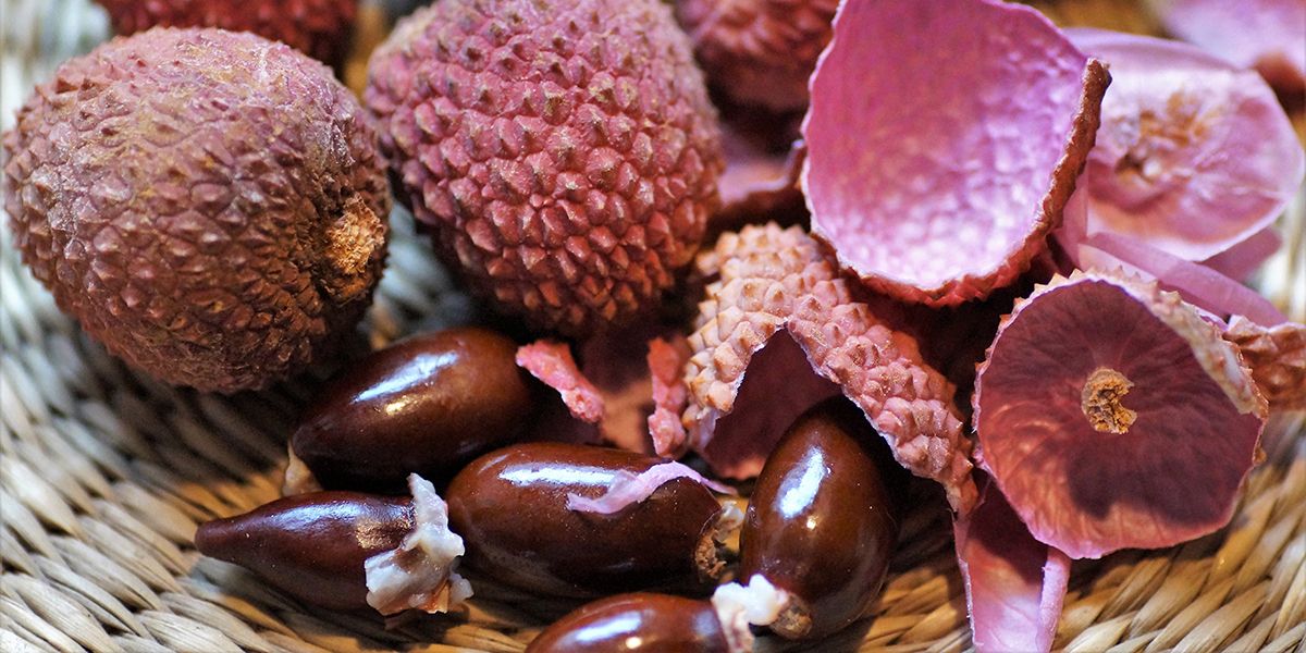 Cultiver un litchi à partir d’un noyau : guide pratique