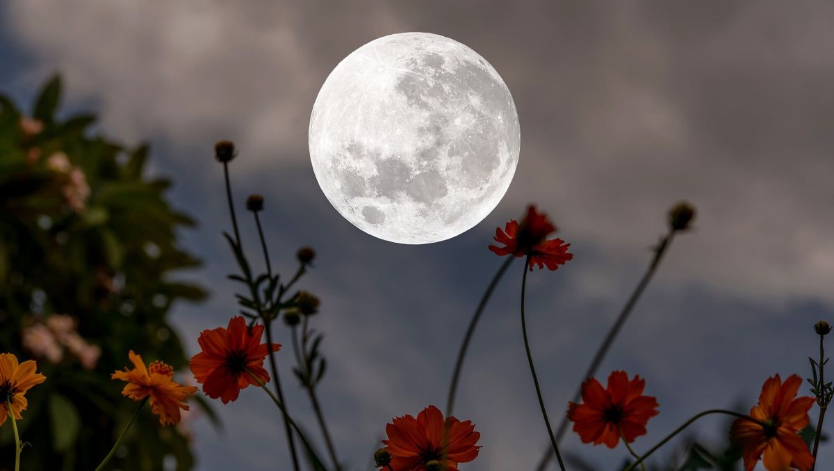 Le calendrier lunaire 2022