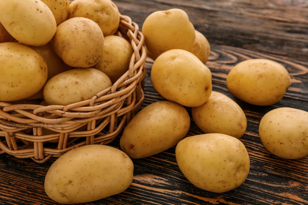 Dites adieu aux germes : la méthode ultime pour conserver vos pommes de terre