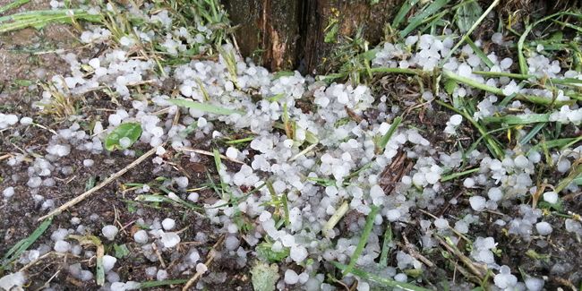 Comment protéger efficacement votre jardin contre la grêle et les orages