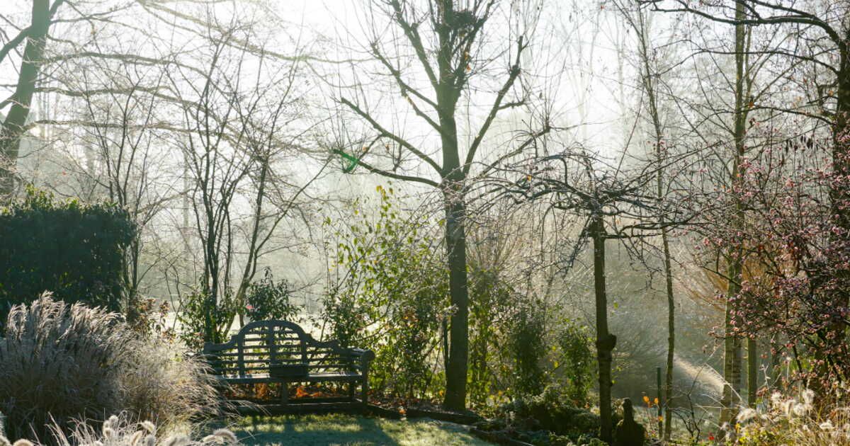 Préservez votre jardin des intempéries hivernales