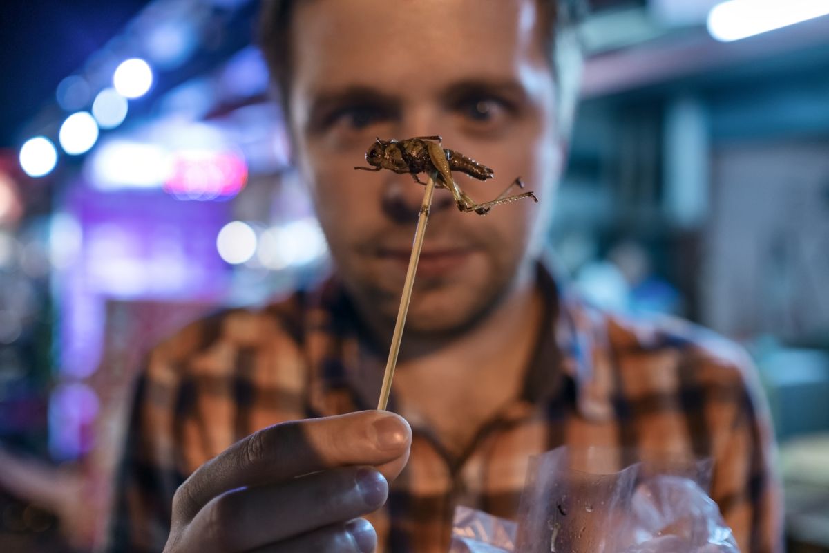 Manger des criquets : une bonne nouvelle pour votre microbiote