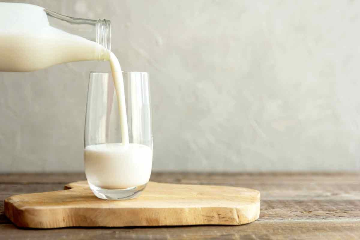 Les meilleures alternatives au lait pour vos recettes