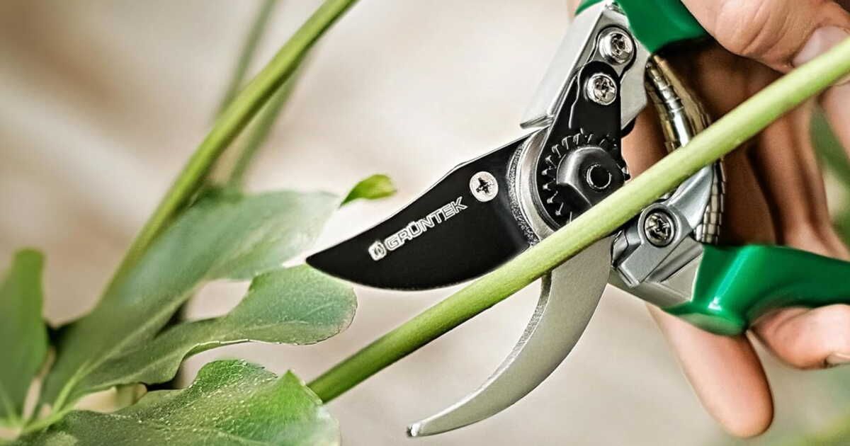 Découvrez le sécateur de jardin recommandé par les experts à prix mini