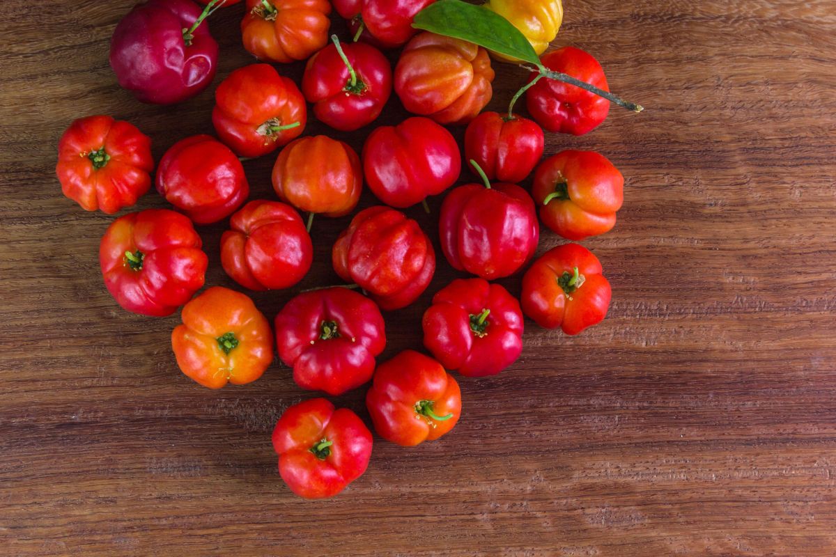 L'acerola, ce trésor de vitamine C à découvrir