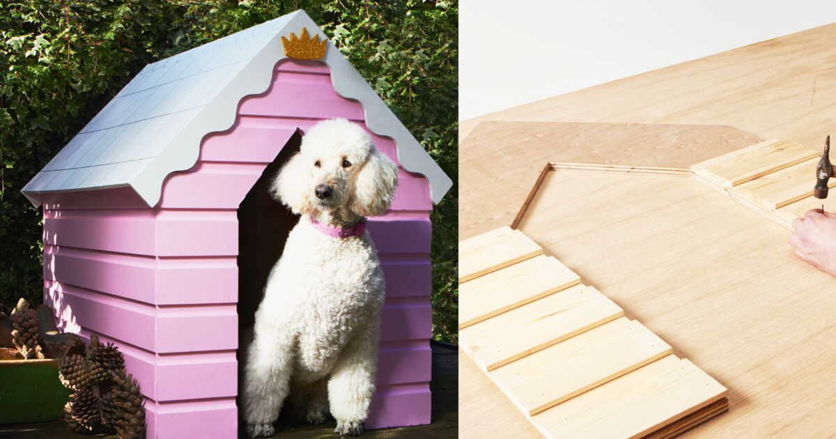 Aménager un espace chaleureux pour votre chien