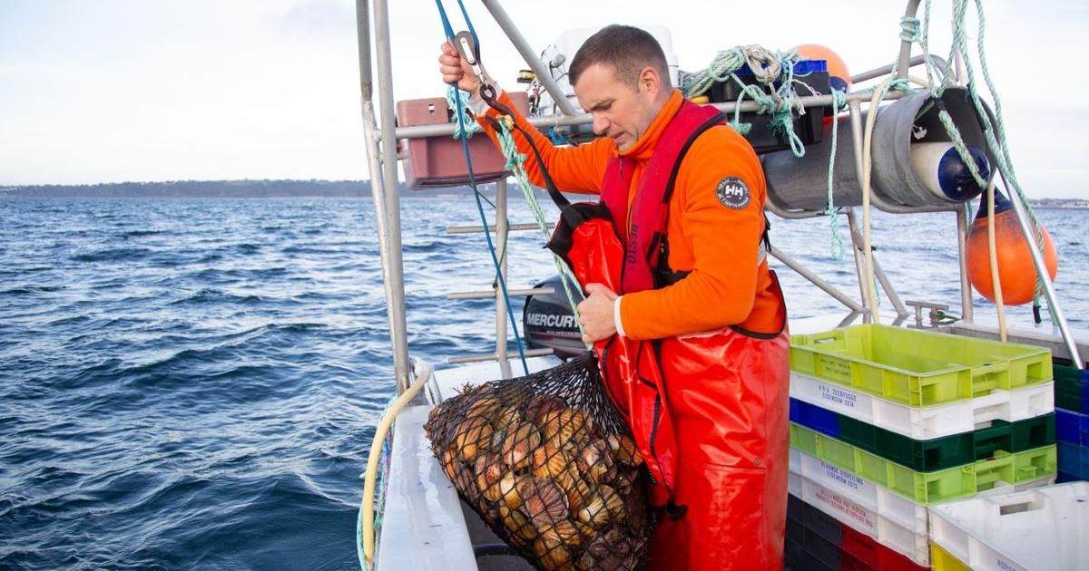 Le trésor des mers bretonnes : rencontre avec un pêcheur d'exception