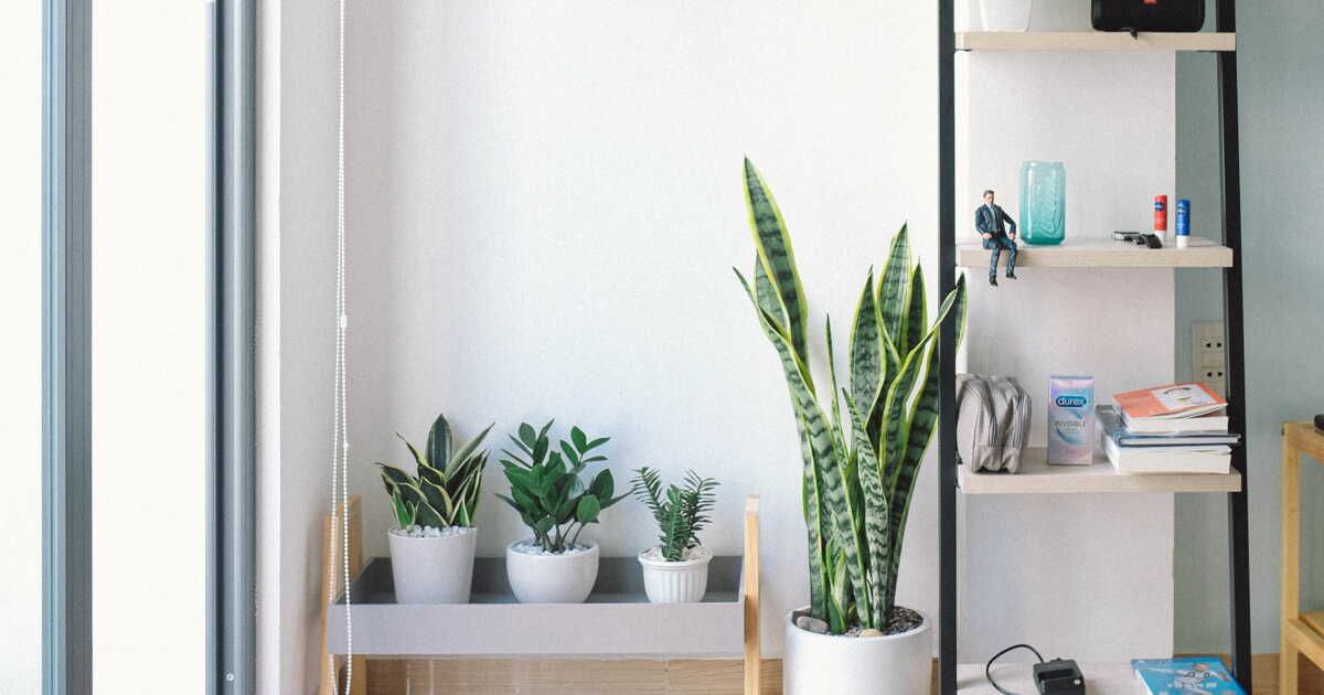 Des astuces simples pour un rangement efficace à la maison