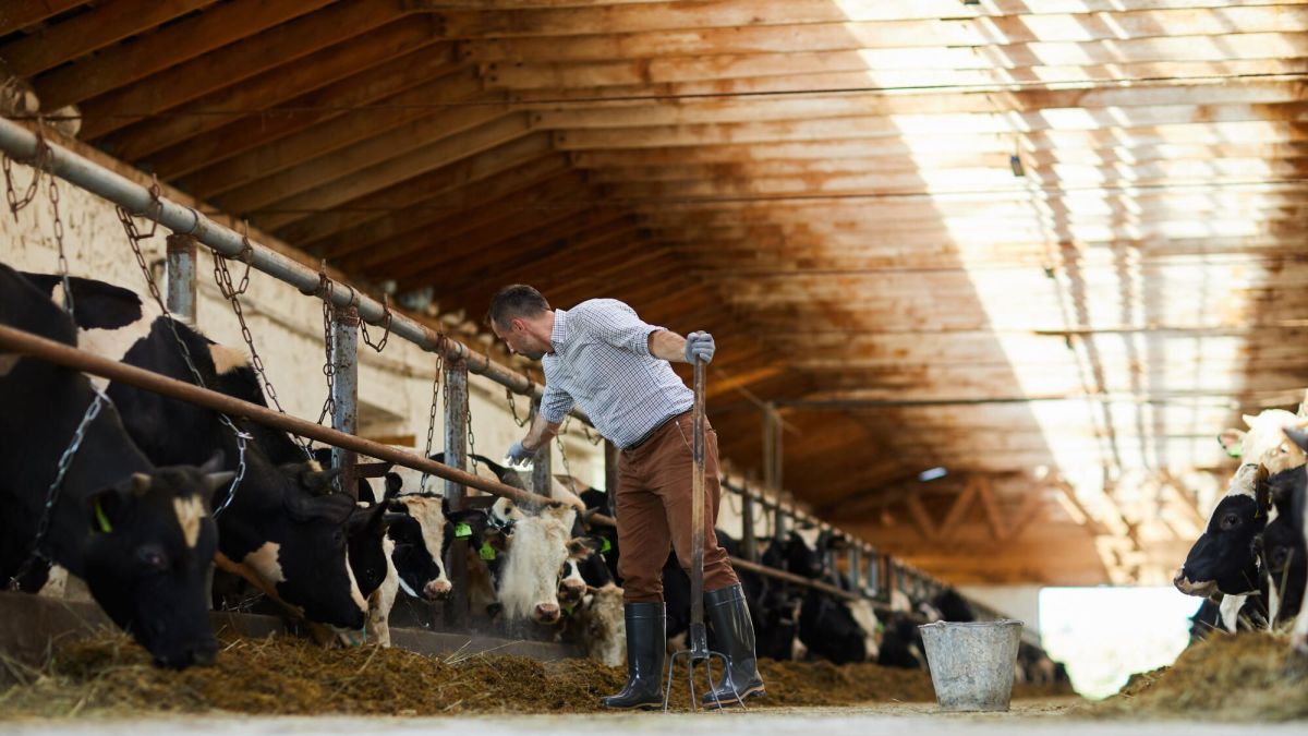 Pierre, agriculteur à la retraite, se cœur sur sa pension et ses combats