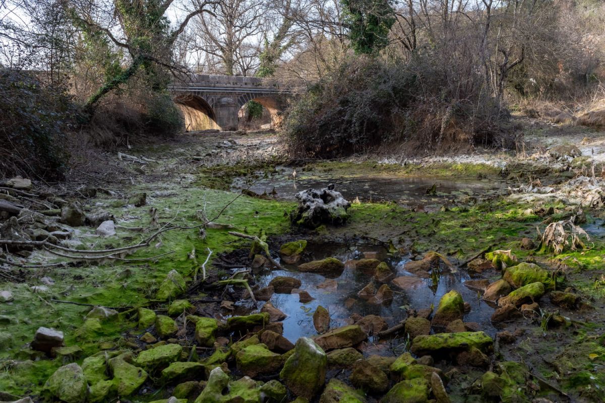 Sècheresse 2023 : la France face à une crise de l'eau