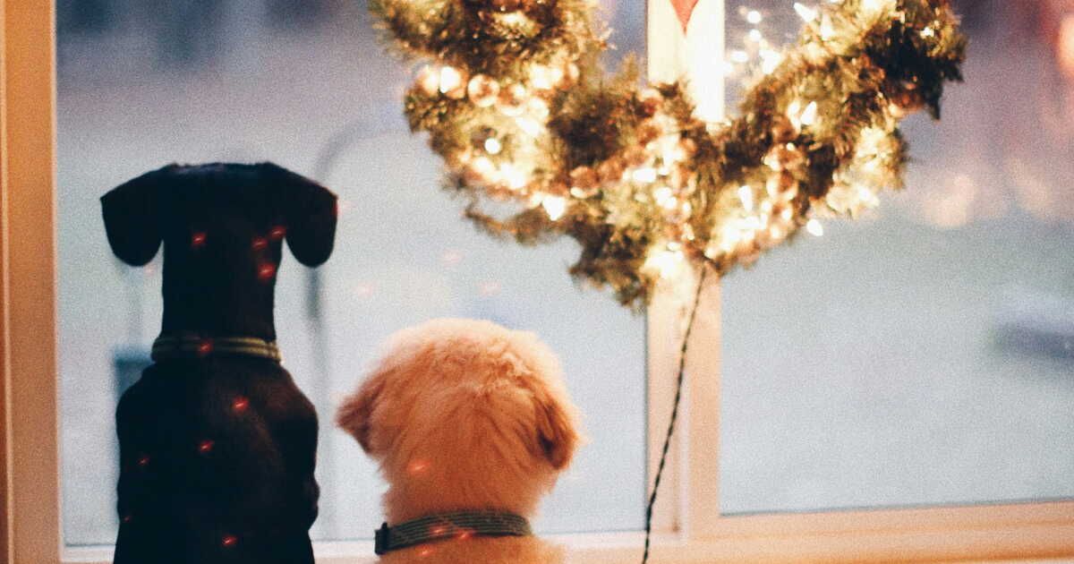 Créez des décorations de Noël uniques avec les empreintes de votre animal de compagnie