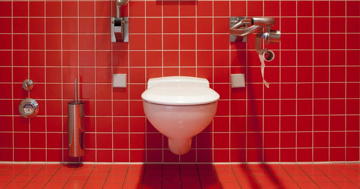 L'histoire fascinante des toilettes à travers les âges