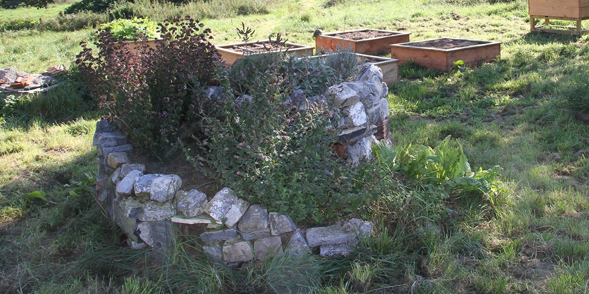 Découvrez la spirale aromatique, un atout naturel pour vos herbes au jardin