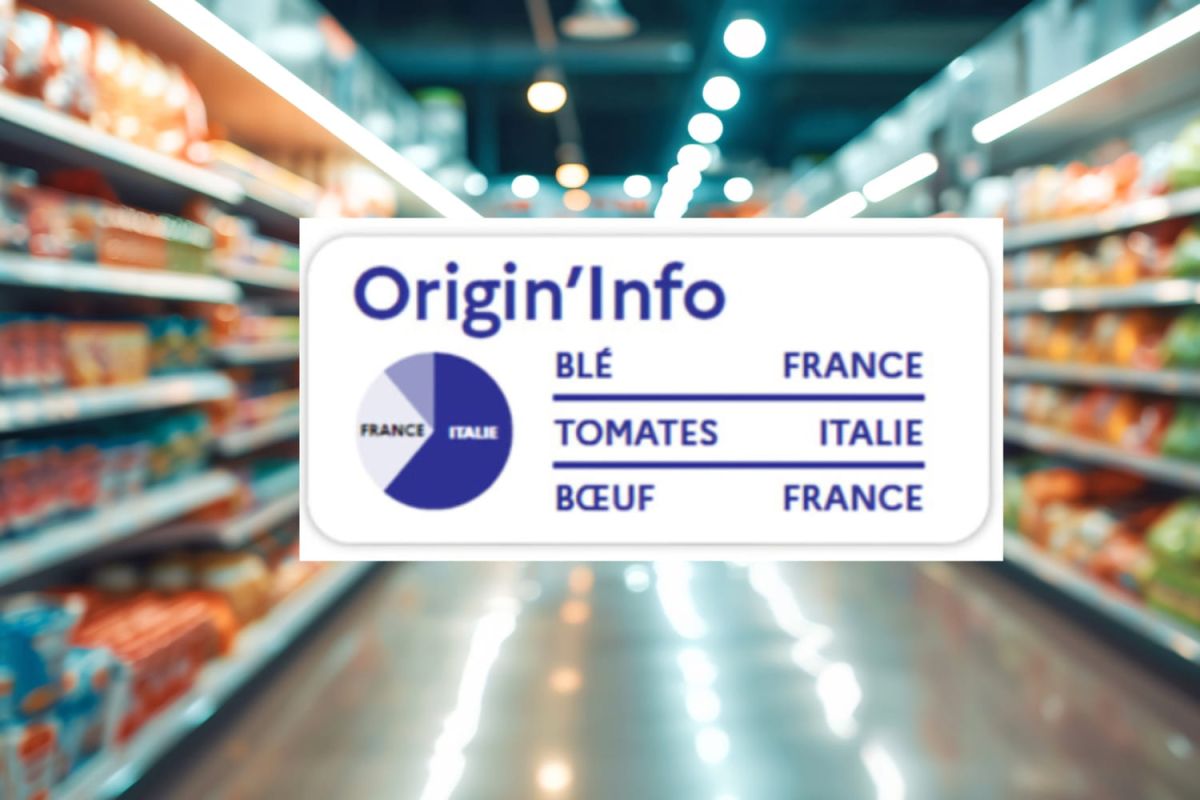 Décrypter Origin'Info : le nouveau logo qui change la donne
